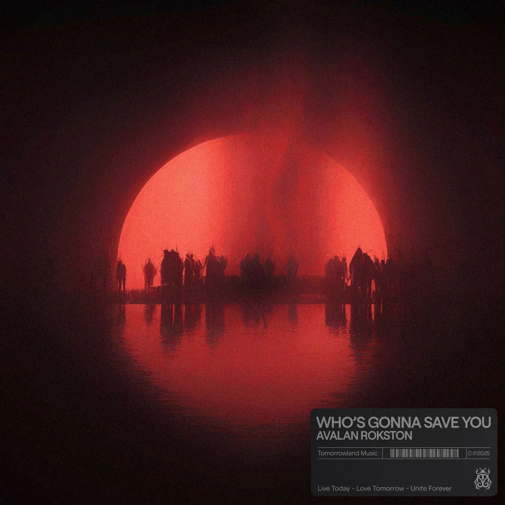 AVALAN ROKSTON - Who's gonna save you Ableton Remake (Melodic Techno)