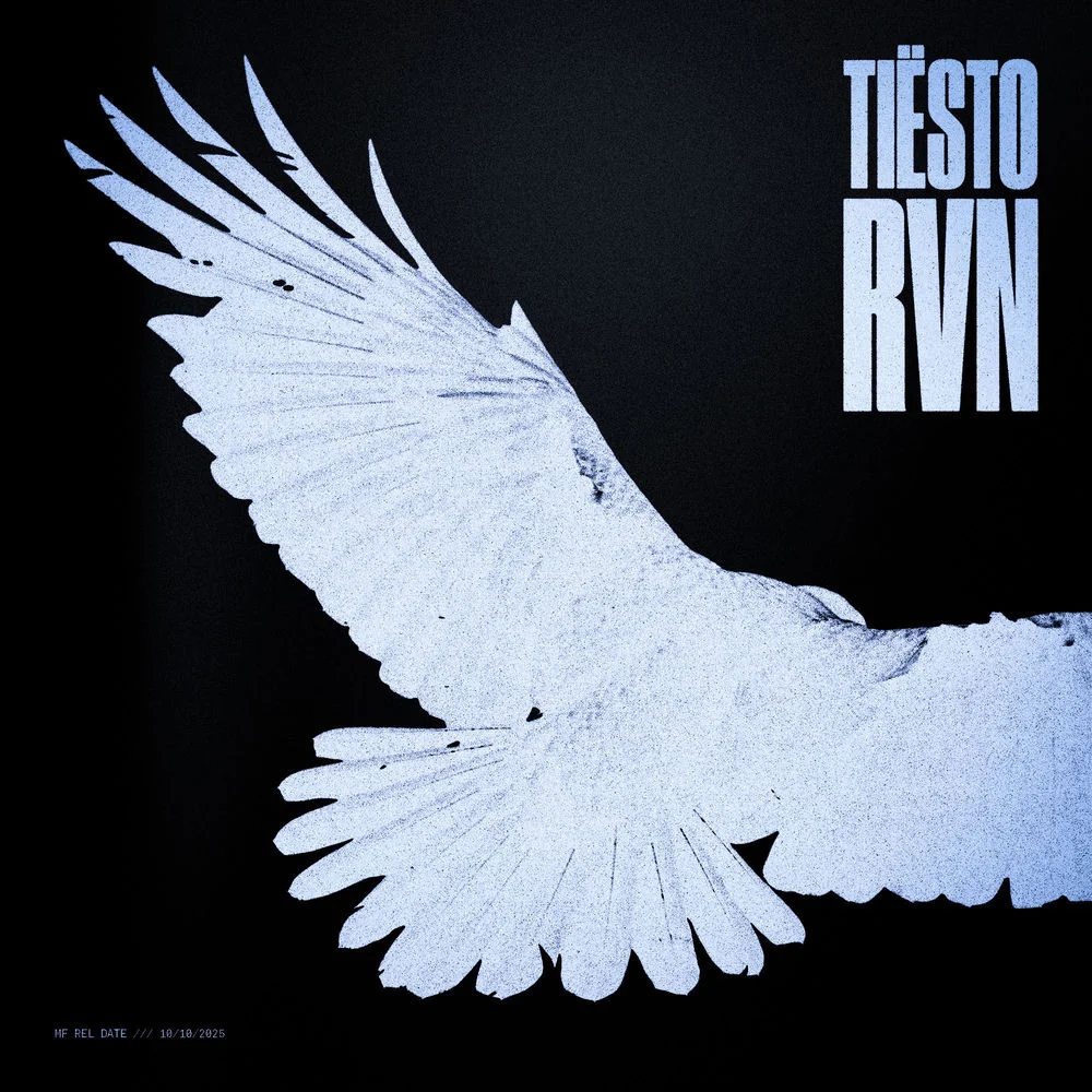 Tiësto - RVN (Raven) Ableton Remake (Mainstage)
