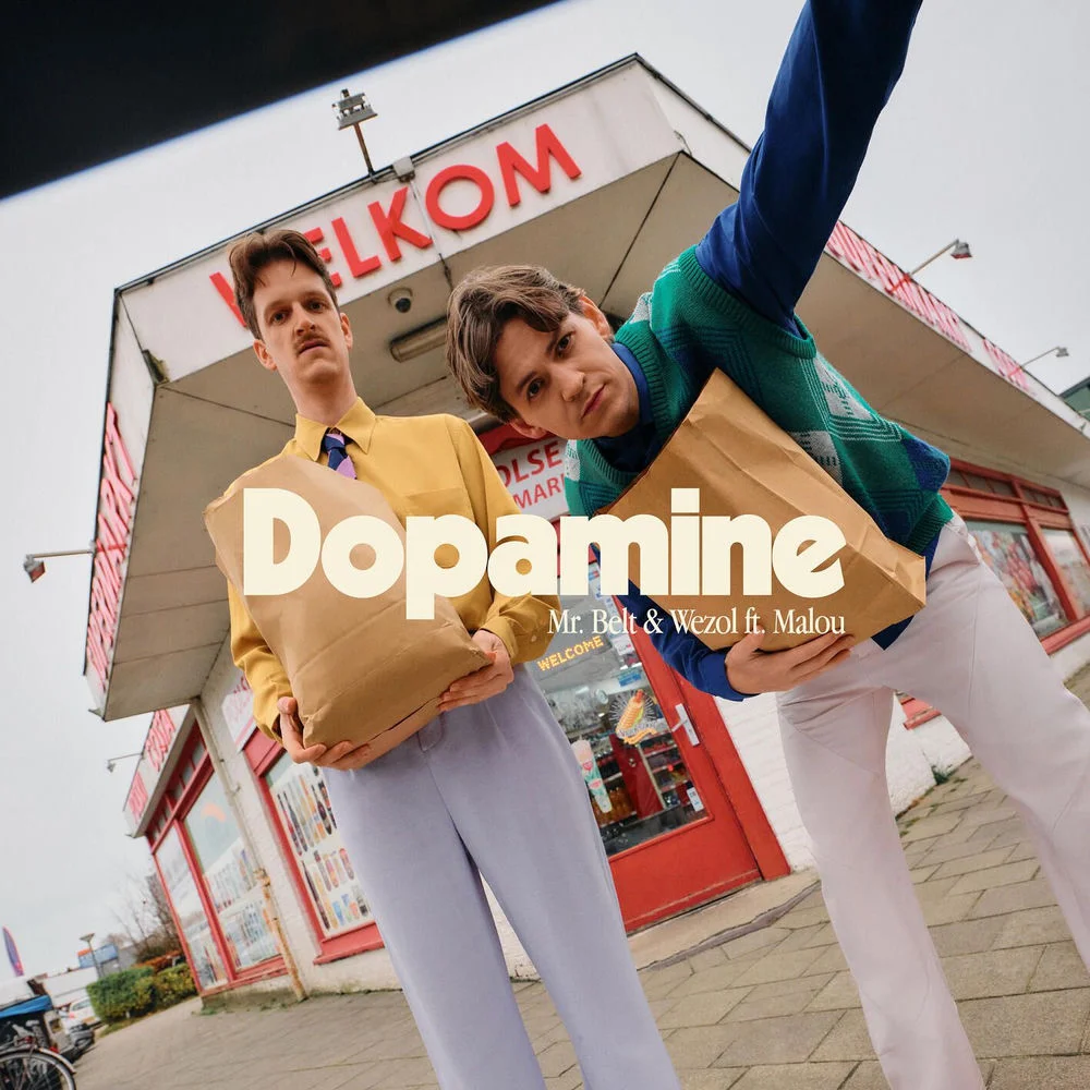 Mr. Belt & Wezol - Dopamine (feat. Malou) Ableton Remake (Dance Pop)