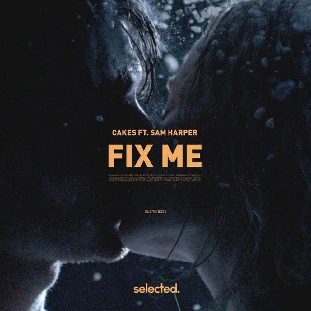 Cakes feat. Sam Harper - Fix Me Ableton Remake (Dance)