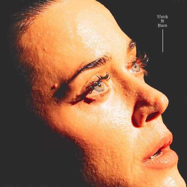 Katy Perry - Watch It Burn Ableton Remake (Pop)