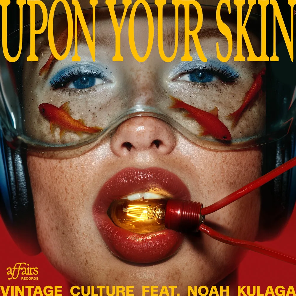Vintage Culture feat. Noah Kulaga - Upon Your Skin Ableton Remake (Melodic House)