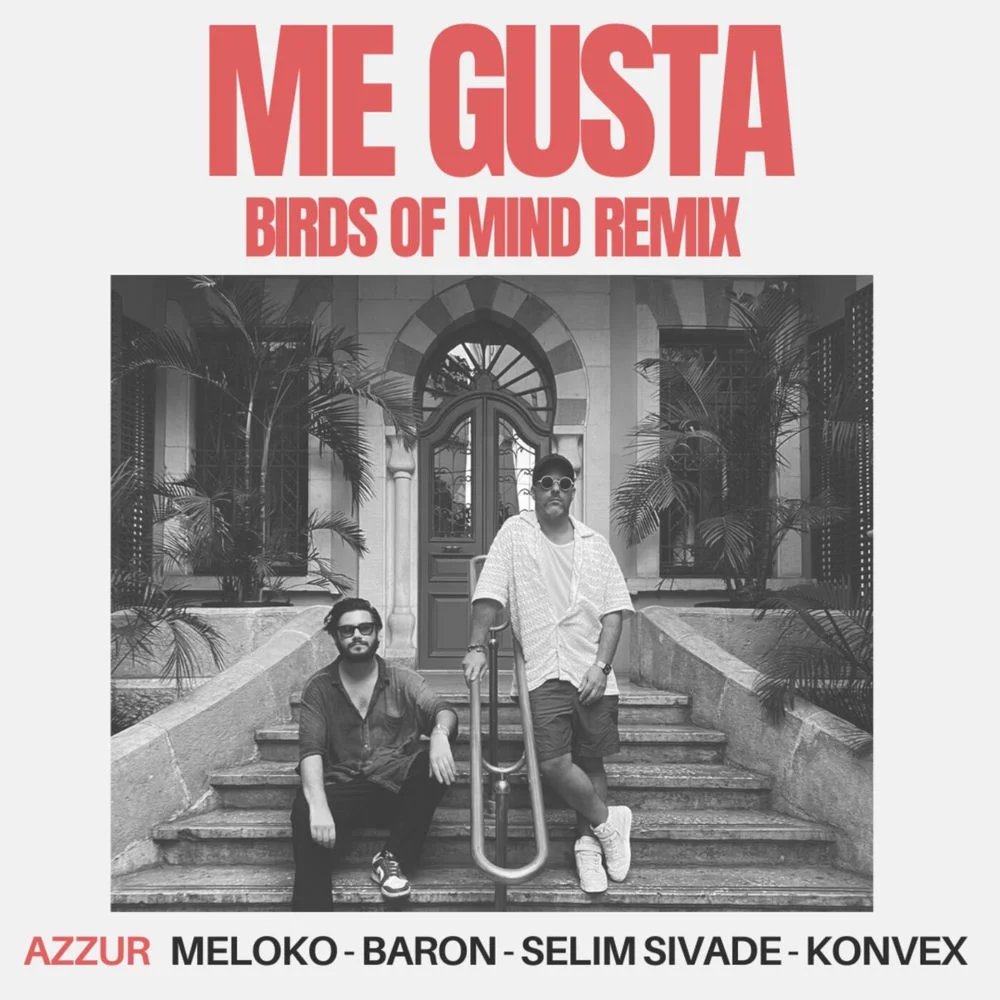 Azzur - Me Gusta (Bird of Mind Remix) Ableton Remake (Melodic House)