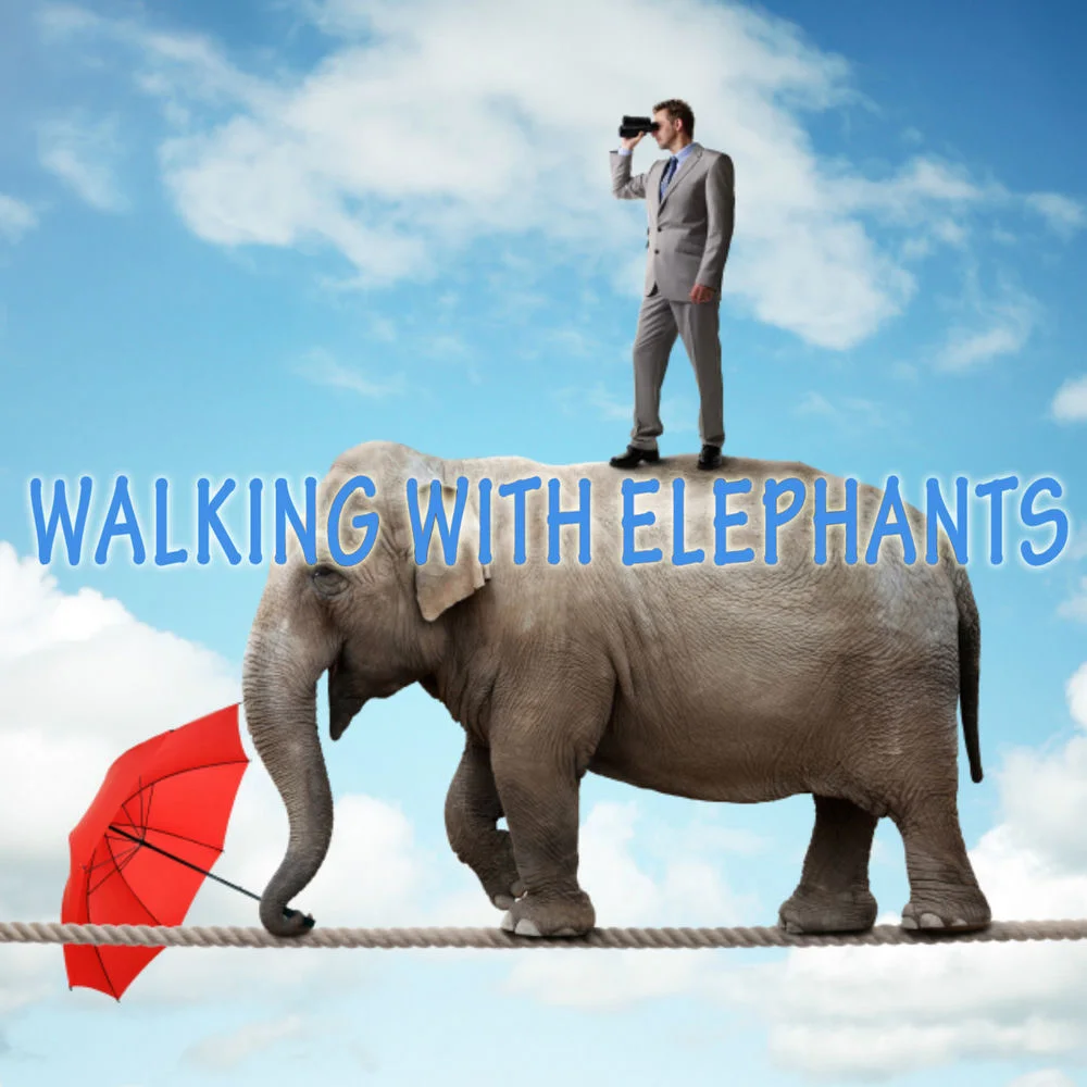 Luvstruck - Walking With Elephants (Ableton Remake)