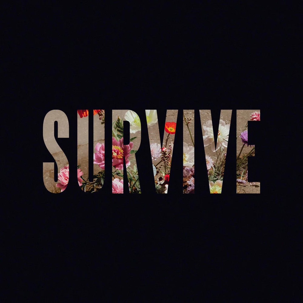 Lewis Capaldi - Survive Ableton Remake (Pop)