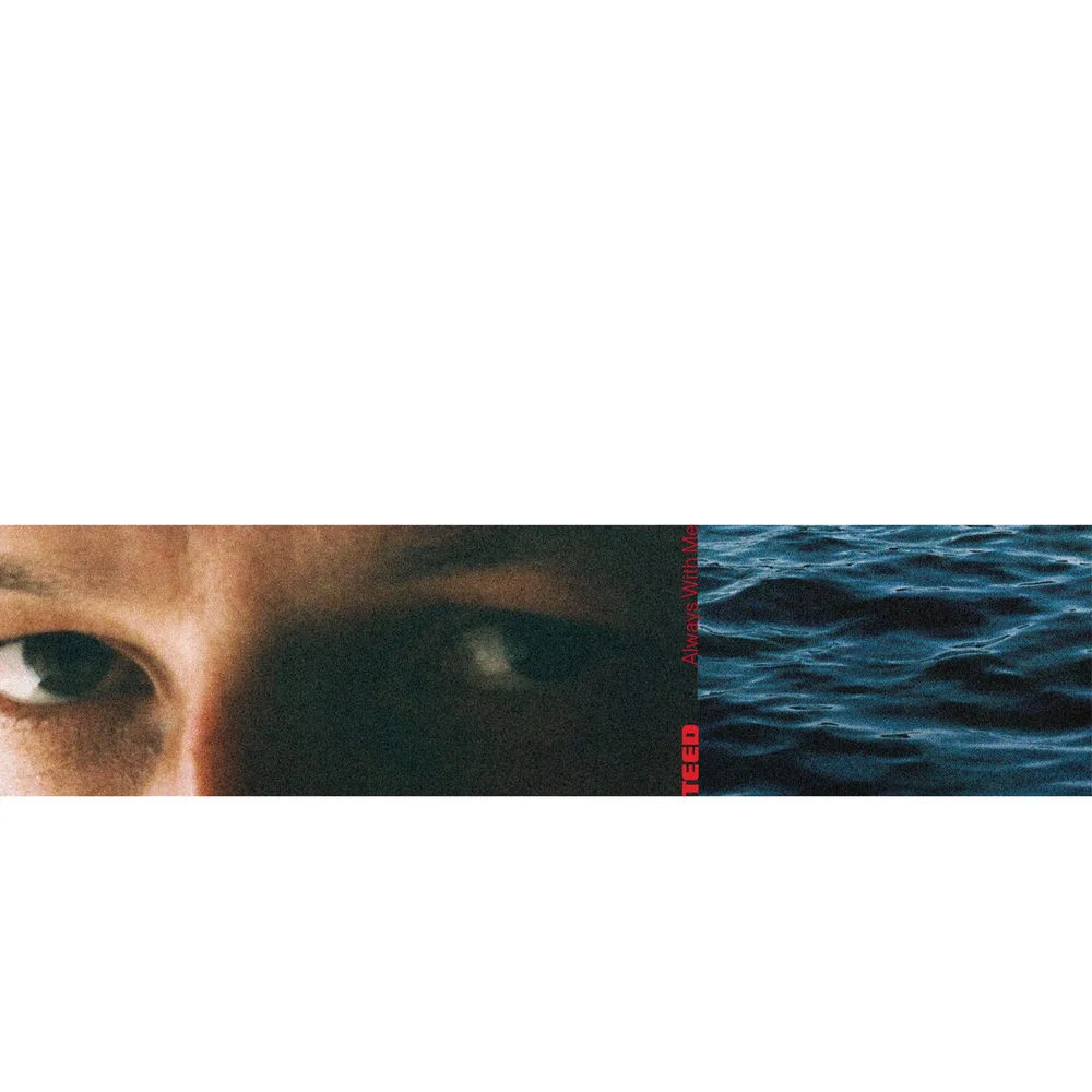 TEED - In Darkness Ableton Remake (Electronic)