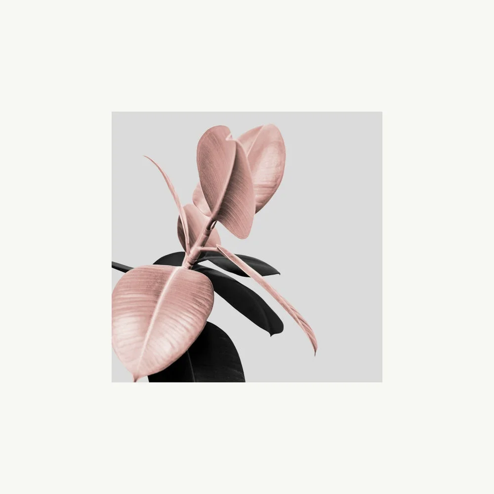 Alex Kaspersky, Adam Sellouk - Body (Ableton Remake)